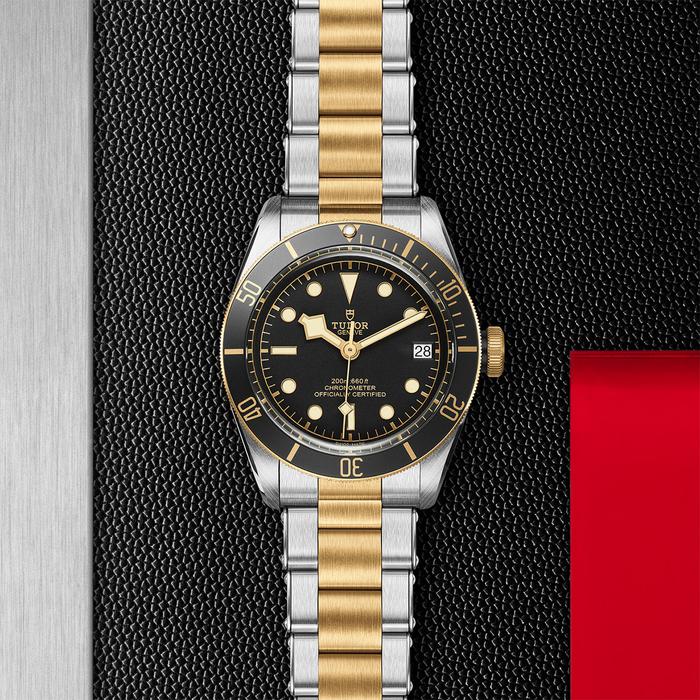 TUDOR Black Bay S&G, model #M79733N-0008, at IJL Since 1937