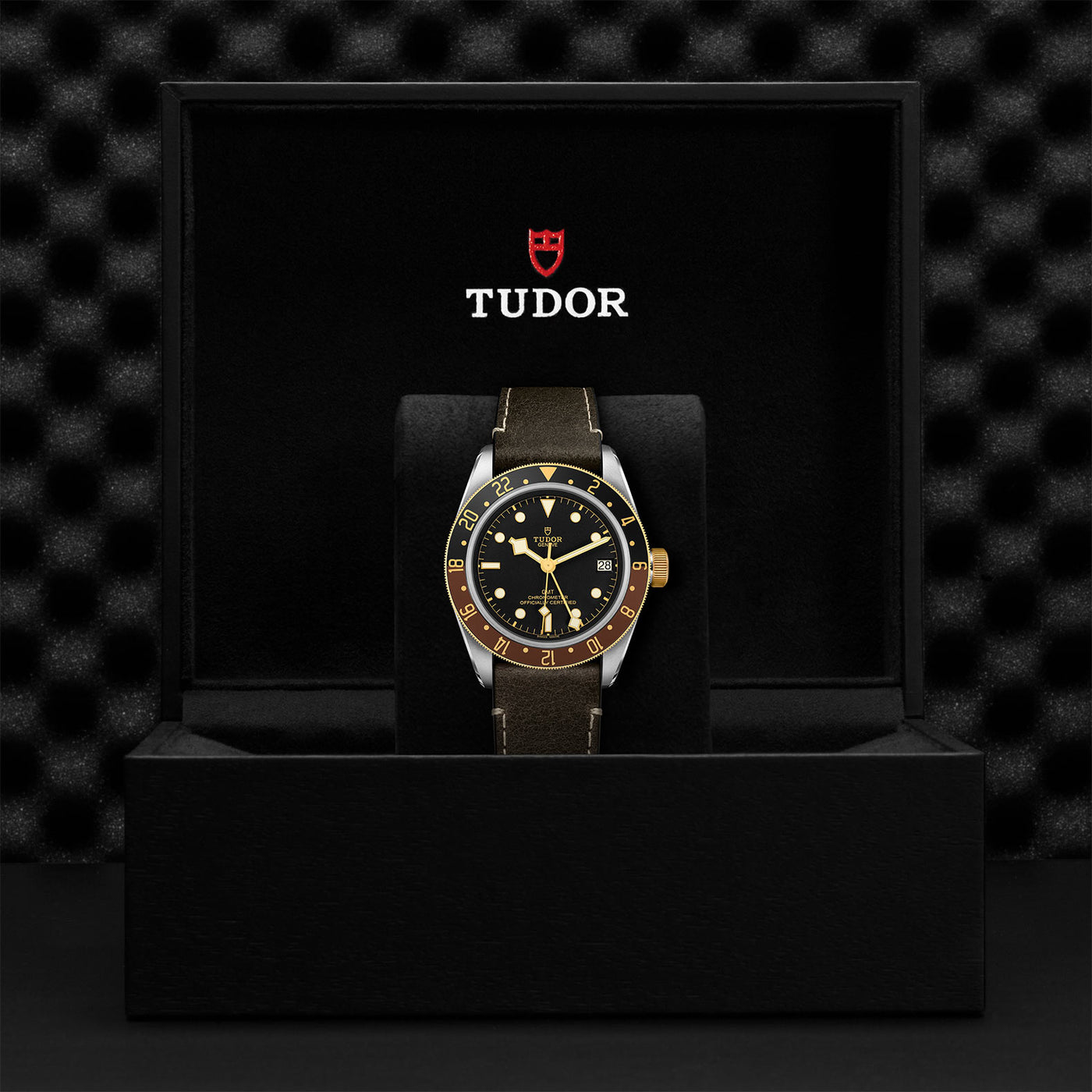 TUDOR Black Bay GMT S&G