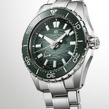 Grand Seiko Evolution 9 "Ushio" 40.8mm