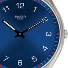 Swatch Watch Skinnavy 42mm