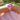 Flik Flak Shining Seastar 32mm