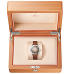 OMEGA Seamaster Railmaster 38mm