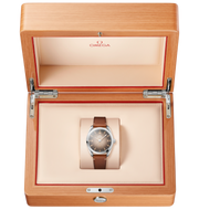 OMEGA Seamaster Railmaster 38mm