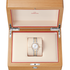 OMEGA Seamaster Aqua Terra 30mm