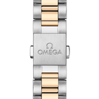 OMEGA Seamaster Aqua Terra 30mm