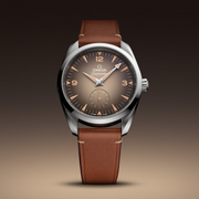 OMEGA Seamaster Railmaster 38mm