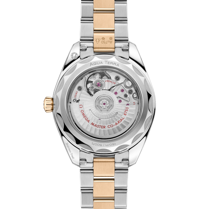 OMEGA Seamaster Aqua Terra 30mm