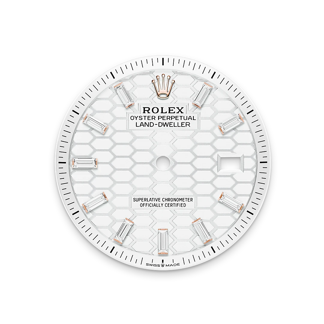 Rolex Land-Dweller in 18 ct Everose gold, M127285TBR-0002 - IJL Since 1937