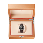 OMEGA Seamaster 300 41mm