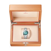 OMEGA Seamaster Aqua Terra 38mm
