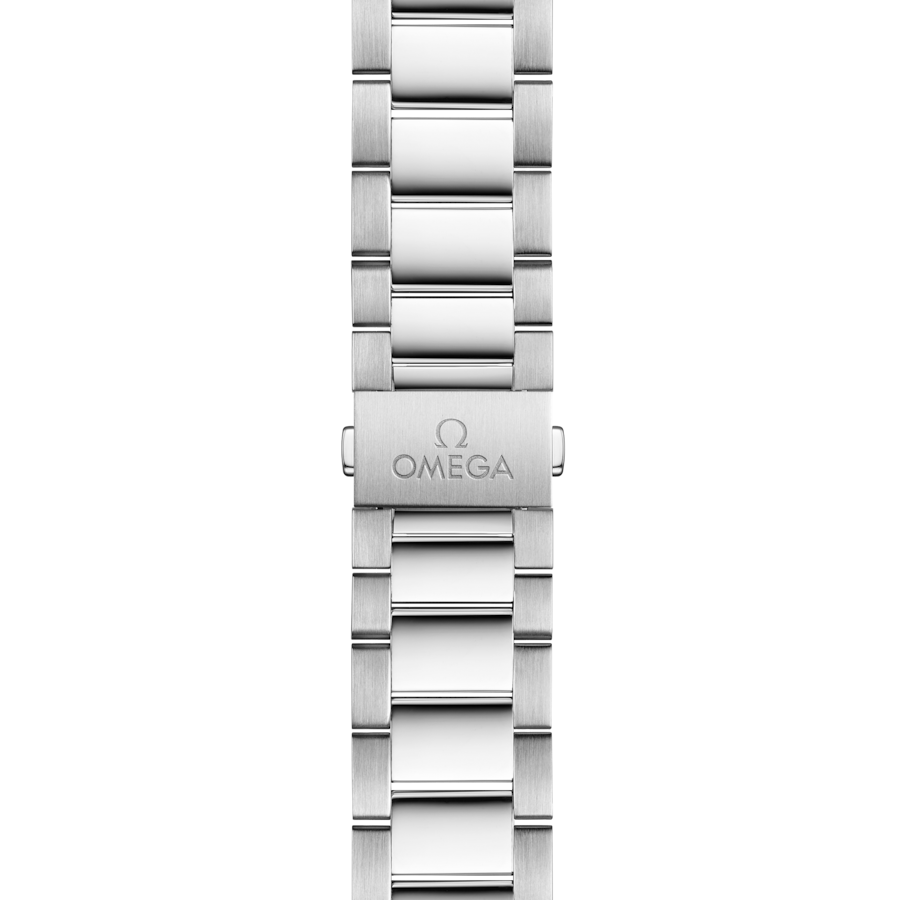 OMEGA Seamaster Aqua Terra 41mm