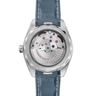 OMEGA Seamaster Aqua Terra 41mm