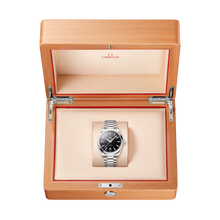 OMEGA Seamaster Aqua Terra 41mm