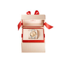 OMEGA Seamaster Aqua Terra 34mm