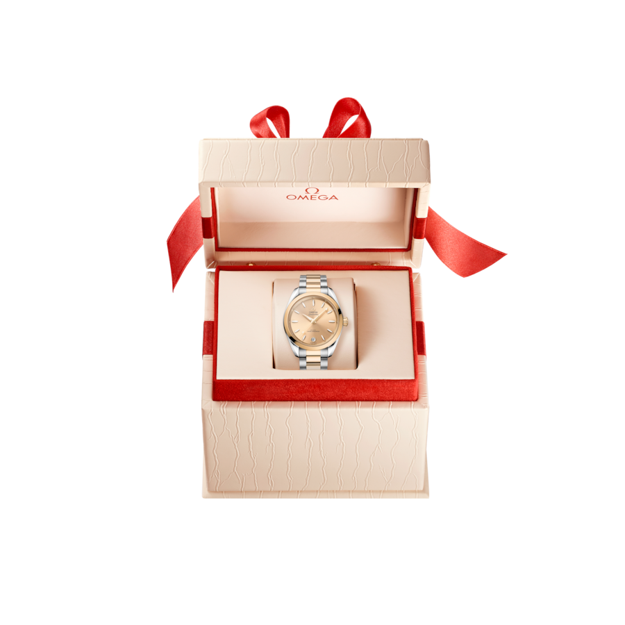 OMEGA Seamaster Aqua Terra 34mm