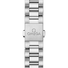 OMEGA Seamaster Aqua Terra 38mm