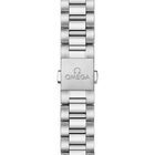 OMEGA Seamaster Aqua Terra 38mm