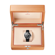 OMEGA Seamaster Diver 300M 42mm
