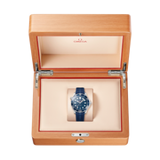 OMEGA Seamaster Diver 300M 42mm