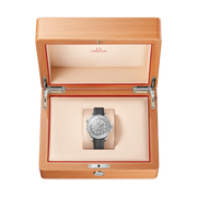 OMEGA Seamaster Diver 300M 42mm