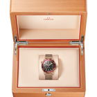 OMEGA Seamaster Diver 300M 42mm