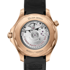 OMEGA Seamaster Diver 300M 42mm