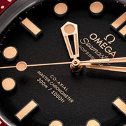 OMEGA Seamaster Diver 300M 42mm