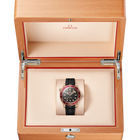 OMEGA Seamaster Diver 300M 42mm