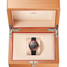 OMEGA Seamaster Diver 300M 42mm