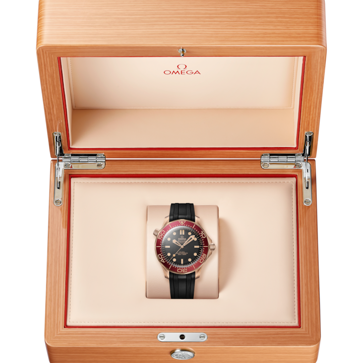 OMEGA Seamaster Diver 300M 42mm