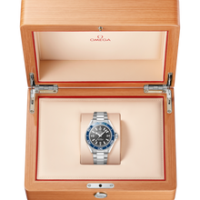 OMEGA Seamaster Planet Ocean 600M 42mm