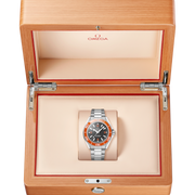 OMEGA Seamaster Planet Ocean 600M 42mm