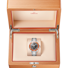 OMEGA Seamaster Planet Ocean 600M 42mm