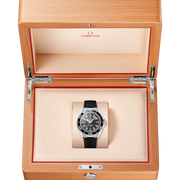 OMEGA Seamaster Planet Ocean 600M 42mm