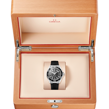 OMEGA Seamaster Planet Ocean 600M 42mm