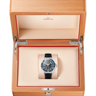 OMEGA Seamaster Planet Ocean 600M 42mm