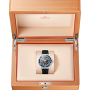 OMEGA Seamaster Planet Ocean 600M 42mm
