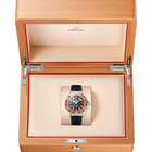 OMEGA Seamaster Planet Ocean 600M 42mm