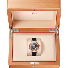 OMEGA Seamaster Planet Ocean 600M 42mm