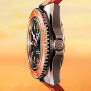 OMEGA Seamaster Planet Ocean 600M 42mm