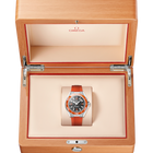 OMEGA Seamaster Planet Ocean 600M 42mm