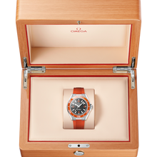 OMEGA Seamaster Planet Ocean 600M 42mm