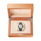 OMEGA Seamaster Planet Ocean 44mm