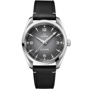 OMEGA Seamaster Railmaster 38mm