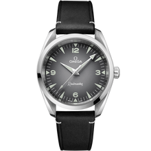OMEGA Seamaster Railmaster 38mm