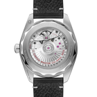 OMEGA Seamaster Railmaster 38mm