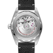 OMEGA Seamaster Railmaster 38mm