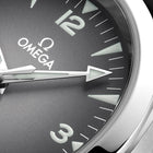 OMEGA Seamaster Railmaster 38mm