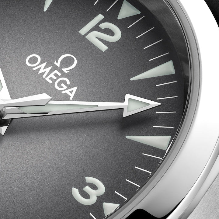 OMEGA Seamaster Railmaster 38mm