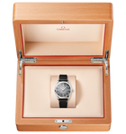 OMEGA Seamaster Railmaster 38mm